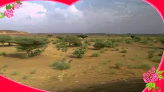 جديد أبو عركي يا قلب 