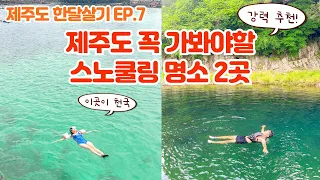 제주도 스노쿨링 명소 2곳 1급수 계곡 현지인 물놀이 명소 강정천 판포포구 바다 수영 썸네일