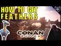 How to get Feathers in Conan Exiles - Location and Tutorial