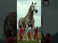 Download Lagu Cute kuda poni #video #videoviral #kudaponi #kuda #shortviral