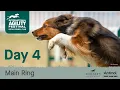 The Kennel Club International Agility Festival 2026 Day 4 Main Ring