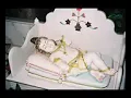 Lagu Bhagat ke vash mein hai bhagwan 🙏  Vrindavan Bihari Lal Ji