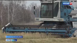 Сельские хозяйства в тяжелейших условиях завершают уборочную кампанию