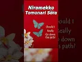 Lagu What If Niramekko by Tomonari Sora was in English?  #englishcover #cover #music