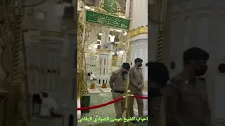  روح يا نسيم للنبي ﷺ قوله عاشق ما نامش الليل كله   دندنها