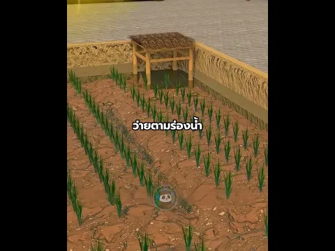 นาข้าวที่เลี้ยงปลาได้