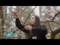 Download Lagu Apollo On The Run   Echo  SoundNova–NoCopyrightMusic ||  Where Sound Meets Innovation