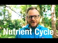 Explaining most of the Nutrient Cycle