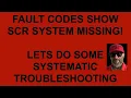 SCR Missing Did it fall off