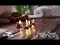 Sandy Spa biz demo for Spitfire Systems