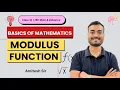 Modulus Function Basics to Advanced for JEE Main Advanced Class 11 Mathematics Amitesh Sir