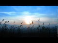 Download Lagu Carbon Based Lifeforms - Live Set - Boom Festival 2014