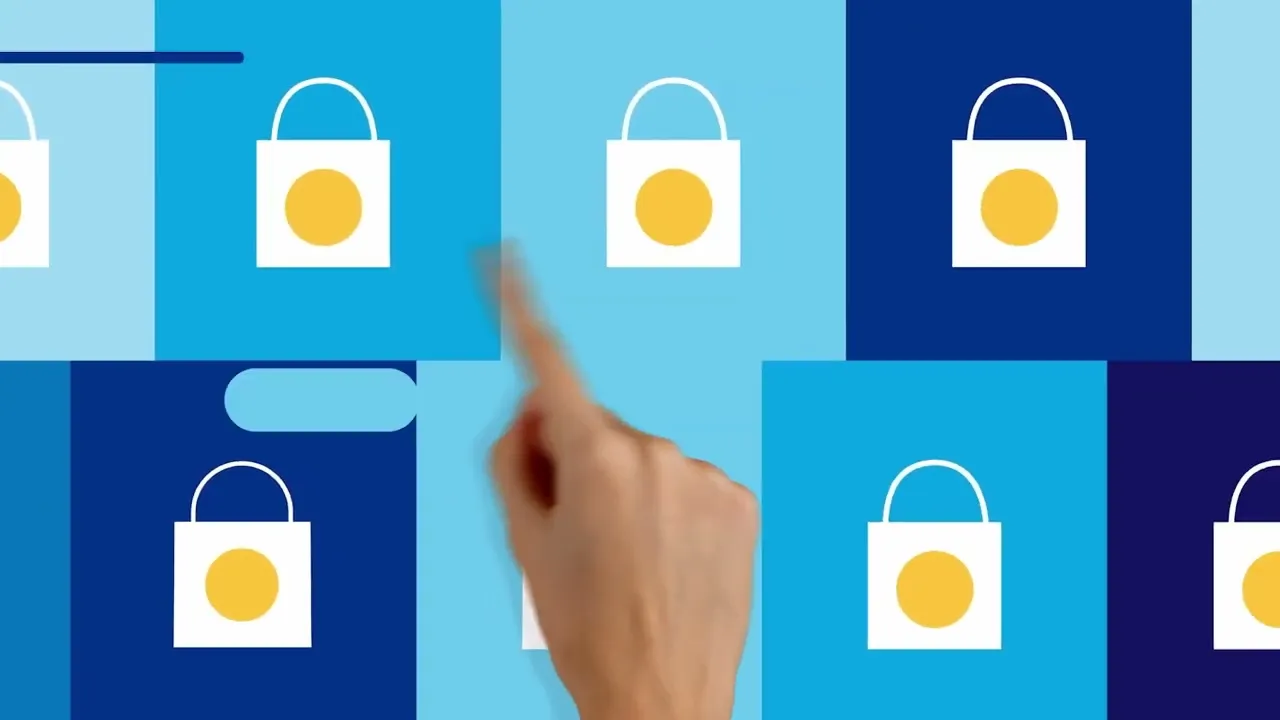 PayPal Software feature demonstration