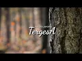 Lagu Keisya Levronka - Tergesa(Lyric)