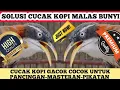 Download Lagu SUARA BURUNG CUCAK KOPI GACOR SEBAGAI TERAPI PANCINGAN PIKATAN DAN BURUNG MASTERAN