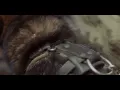 Show Me The Body - K-9 (Official Music Video)