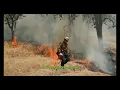 6ix9ine - Pa Ti (feat. Yailin La Más Viral) (Official Music Video)