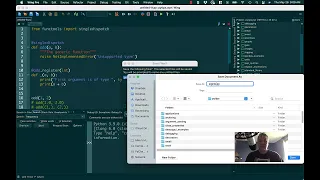 Function Overloading with Python