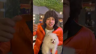 شاور و هيكل توينز و عبد الله التركى الحرب هتسخن 