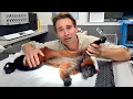 I RUSHED My MONKEY to the EMERGENCY VET