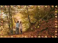 Tu Hain Toh | Mr. and Mrs. Mahi | Hunny | Bunny | Sagar | Rajkumar Rao | Jahnvi Kapoor | Sanch |