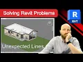 Unintentional Transparent 3D View - Revit Problem Solving