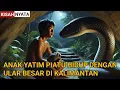Download Lagu KISAH NYATA || SEORANG ANAK YATIM PIATU HIDUP DENGAN ULAR RAKSASA DI DALAM GOA HUTAN KALIMANTAN