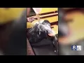 Employees fired after homeless man dunked with water at Syracuse Dunkin Donuts