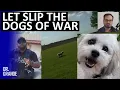 Immature Police Officer Shoots Dog Who Repeatedly Outsmarted Him Myron Woodson Case Analysis