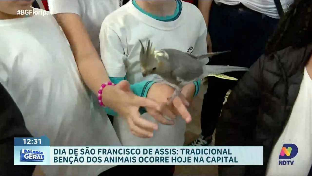Dia de São Francisco de Assis: bênção dos animais acontece nesta sexta-feira em Florianópolis