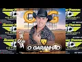 Download Lagu Forró - O Garanhão do Forró - Tô indo embora/Onde estará