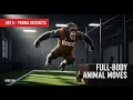 Day 8 - Primal Instincts Challenge Animal Flow Crawls Climbs GoGo s Fat Loss Series
