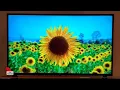 LG UN7300 AI ThinQ 4K Smart TV Review 2020