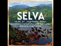 Download Lagu Selva Music Sample