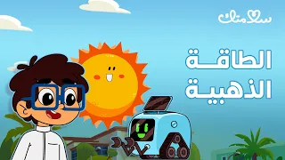 برنامج سلامتك   الحلقة السادسة عشرة   الموسم السابع دندنها
