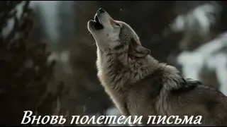 Garik Garik Вновь полетели письма 