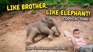 Baby Junior's Special Day Out with Bob at Yutthasak Elephant Camp