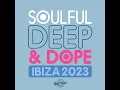 Free (The Layabouts Vocal Mix Edit)