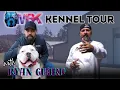 Behind the Scenes at Monster Bully Kennels monsterbullykennels