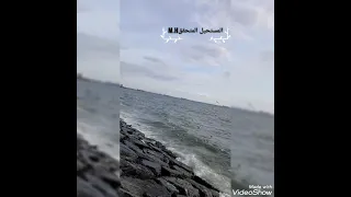  قرآن بصوت القارئ الطفل عمر الفاروق تلاوة رائعة دندنها