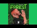Download Lagu Citizen Sthee - Forest Full EP