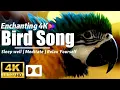 Download Lagu 🕊️ Ever Tried 1 Hour of Magical Birdsong? Experience Deeper Sleep! Lagu Burung Ajaib