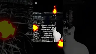 انا وكلبي يتامه شكد بجيناك يكسر كلوب مايرحم بجينه 