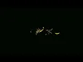 CHOQUE CHOQUE (Tik Tok - Perreo) - FRANCO GIORGI.