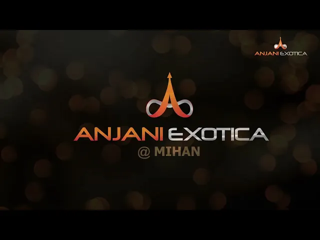 Project Video