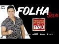 Download Lagu FOLHA SECA O GARANHÃO DO FORRÓ \