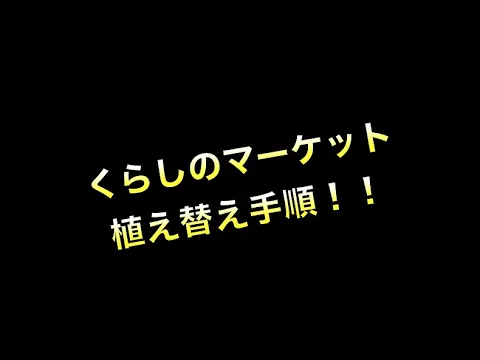 6月以降のみ受付！実績1,050鉢以上！植替え歴20年！【実は】植替以外が大切★