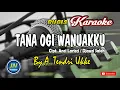 Download Lagu Tana Ogi Wanuakku │Bugis Karaoke Tanpa Vocal│Musik Bugis Terbaru