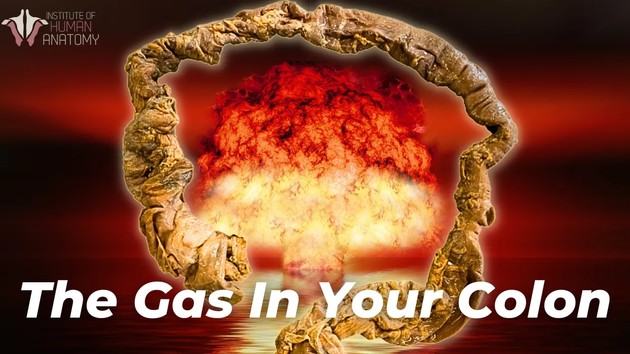 Why Your Colon Produces Flammable Gas