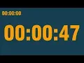 47 second timer with end alarm time elapsed and progress bar